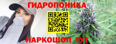 ПСИЛОЦИБИНОВЫЕ ГРИБЫ Аша
